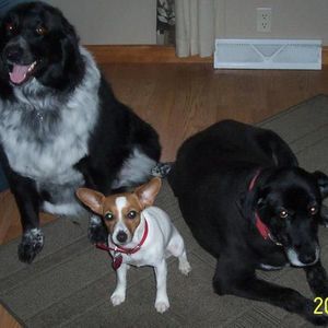 Meet your Posher, Mickie